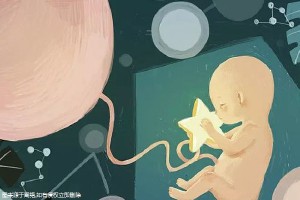 三代供卵试管平台